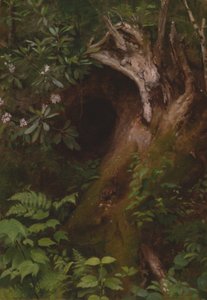 La Ardilla de Seymour Joseph Guy