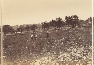 Vista General de la Ciudad desde el Norte de Sgt. James M. McDonald