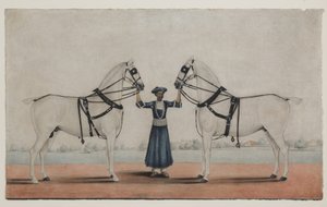 Un sirio (novio) sosteniendo dos caballos de carruaje, c.1845 (acuarela opaca sobre papel)