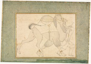 Camello y mozo, ilustración de una sola página, c. 1545-1576 de Shaykh Muhammad