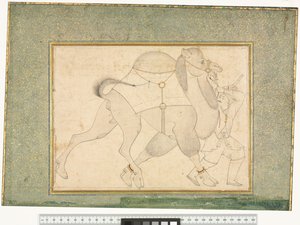 Camello y mozo de cuadra, c.1545-76 de Shaykh Muhammad