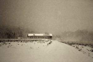  de Sheila Bernard