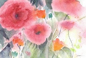 Amapolas en acuarela rosa de Sheila Golden