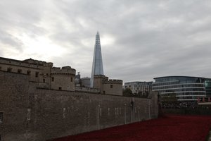 Tierras y mares de sangre barridos, Torre de Londres, 2014