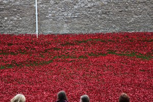 Tierras y mares de rojo barridos por la sangre, Torre de Londres