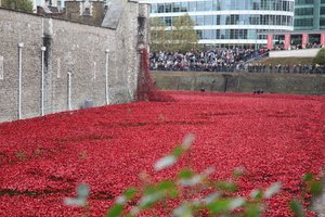 Tierras y mares de rojo barridos por la sangre, Torre de Londres, 2014