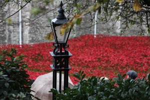 Tierras y mares de rojo bañados en sangre, Torre de Londres