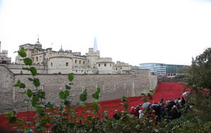 Tierras y mares de sangre barridos por el viento, Torre de Londres, 2014 de Sheldon Marshall
