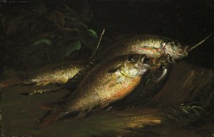 Pescado, 1842 de Shepard Alonzo Mount