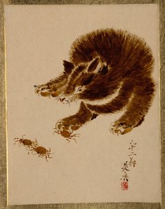 Oso y cangrejos