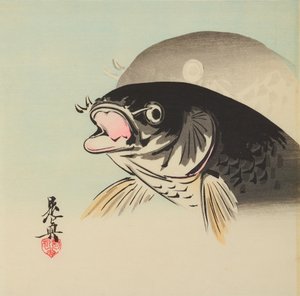  de Shibata Zeshin