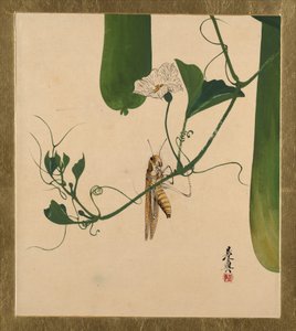  de Shibata Zeshin