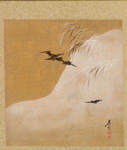 Hoja del Álbum de Temas Estacionales: Nuevos Helechos de Shibata Zeshin