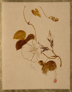  de Shibata Zeshin