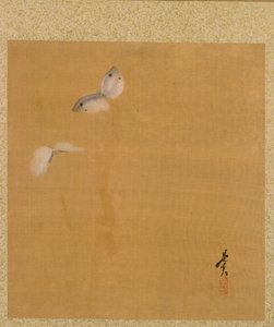 Moths from Album of Paintings by the Venerable Zeshin de Shibata Zeshin