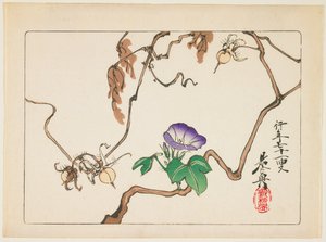  de Shibata Zeshin