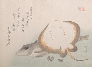 Raya y Gurnard, probablemente 1815 de Shinsai