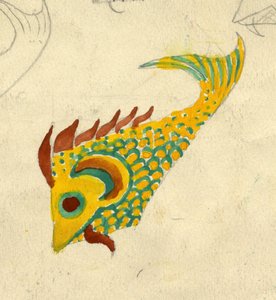 Ilustración de pez, c1950