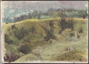 Paisaje con arbustos, Italia, c1950 de Shirley Markham
