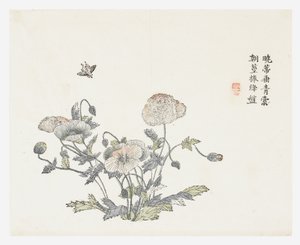 Jardín de semillas de mostaza de Shun Kung Chien