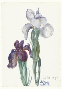 Iris de Sientje Mesdag van Houten