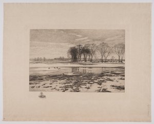 Paisaje de invierno