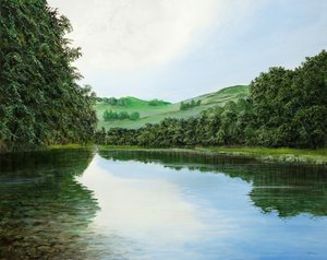 Terreno no despejado