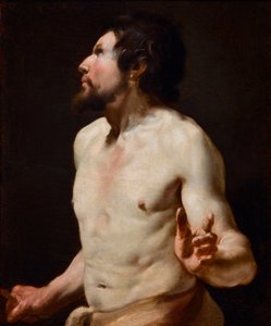 Estudio de torso de Simon (circle of) Vouet