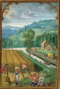 Add 18855 Septiembre: cosecha, arado y siembra, de un Libro de Horas, c.1540