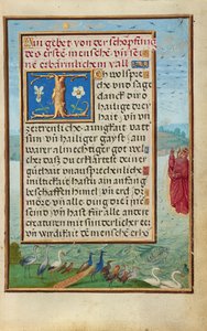 Bordüre mit der Erschaffung von Vögeln und Fischen