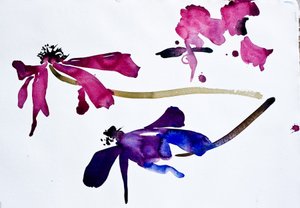 Anémonas (acuarela sobre papel) de Simon Fletcher
