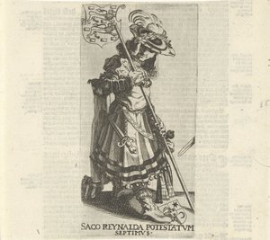Bolso Reinalda