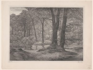 Bosque con estanque y hombre reclinado
Bosque de Teutoburgo (escena de bosque) (título original)