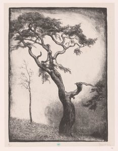 Pino de Simon Moulijn (signed by artist)