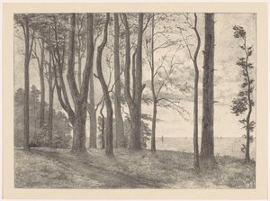 Árboles junto al agua con veleros
Valkeveen (título original) de Simon Moulijn
