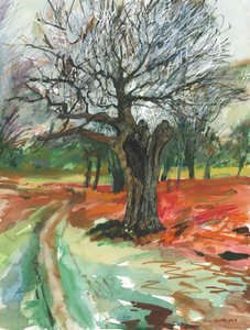 Árbol viejo, Richmond Park, 2019 (lápiz acuarelable y rotulador de pintura acrílica sobre papel) de Simon Neville