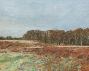 Richmond Park, 2019 (óleo sobre lienzo) de Simon Neville