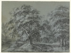 Paisaje forestal con un agua de Simon de Vlieger