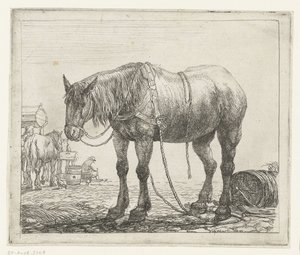 caballo de batalla en reposo Diferentes animales (título de la serie) Kite Bugs (título de la serie) de Simon de Vlieger
