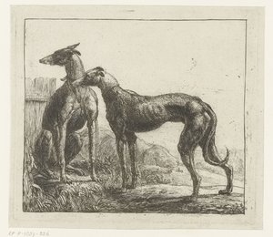 dos galgos Diferentes animales (título de la serie) Kite Bugs (título de la serie) de Simon de Vlieger