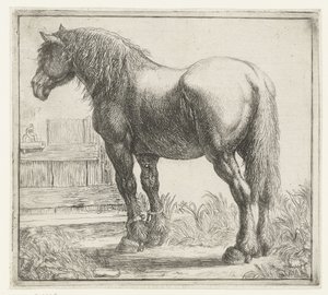 Caballo de batalla en una valla Diferentes animales (título de la serie) Kite Bugs (título de la serie) de Simon de Vlieger