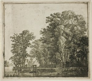 Bosques cerca de un canal de Simon de Vlieger