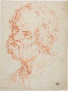 Cabeza masculina de Simone Cantarini