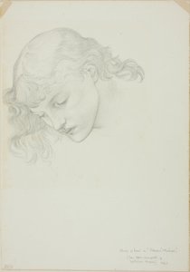 Cabeza, estudio para Espejo de Venus de Sir Edward Burne Jones