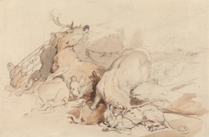 Sabuesos y cazadores atacando ciervos