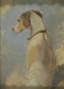Estudio de un galgo de Sir Edwin Henry Landseer
