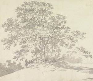Árbol de Sir George Howland Beaumont seventh Baronet