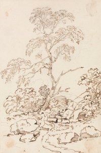 Árbol por pasos de Sir George Howland Beaumont seventh Baronet