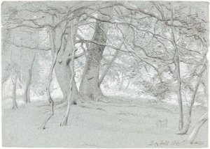 Árboles en Box Hill