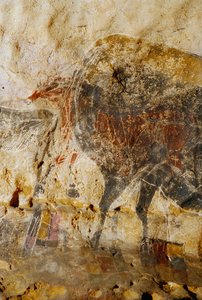 Detalle de la pintura grabada de cabezas de caballo, Lascaux.